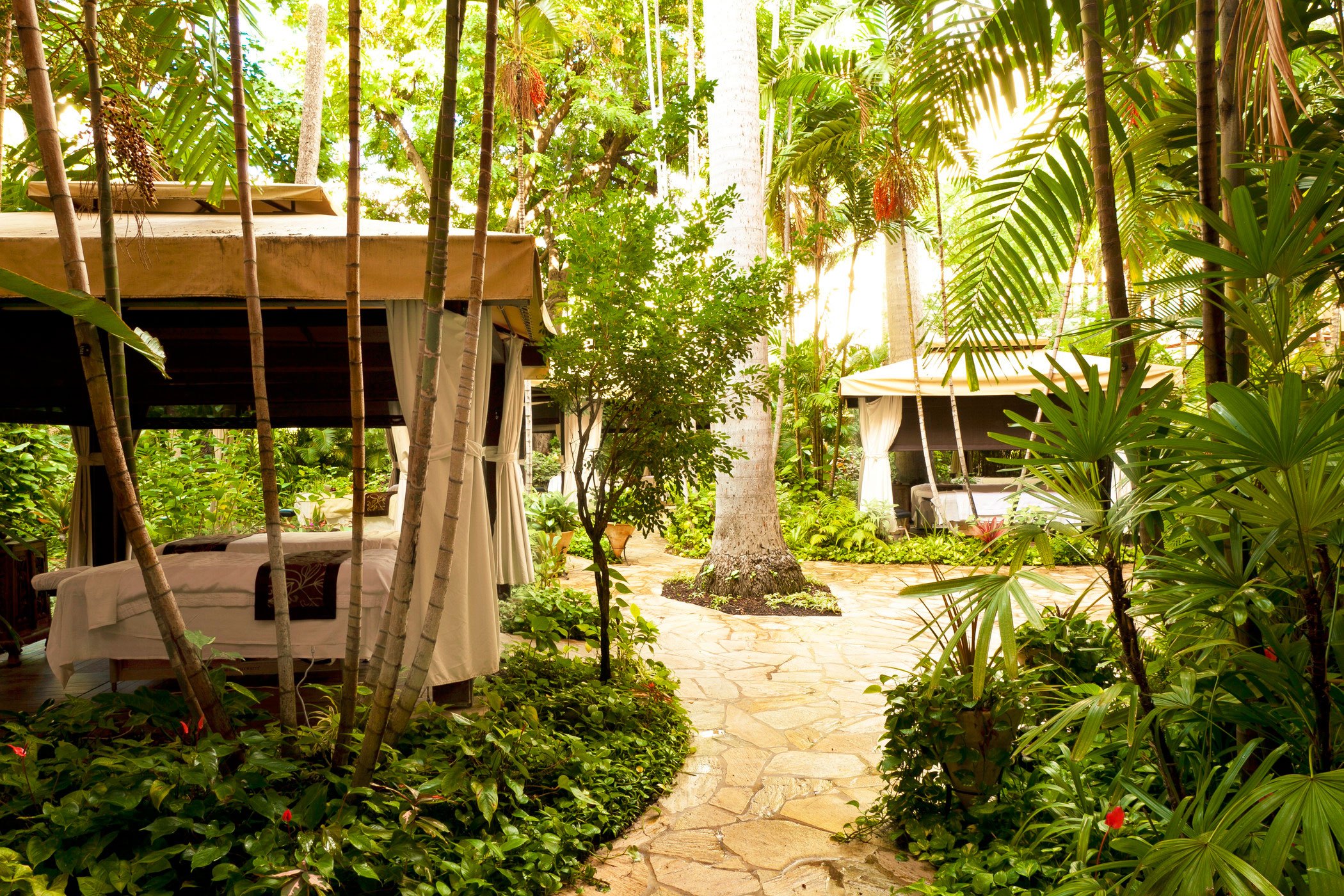 picture of the garden area in the spa