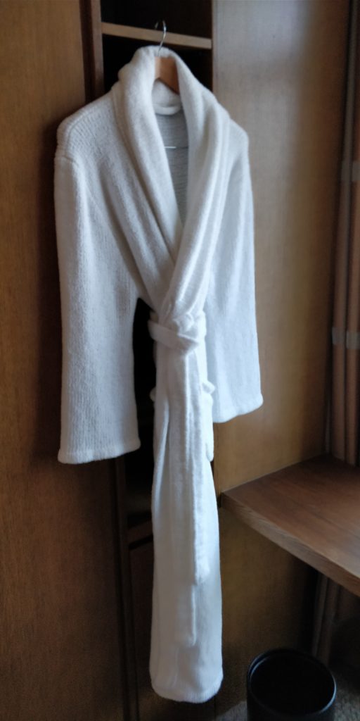 PICTURE OF THE ROOM ROBE