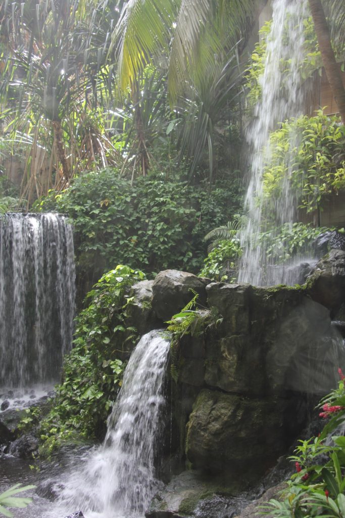 PICTURE OFWATERFALL AND TROPICAL GARDEN GRAND HYATT SINGAPORE