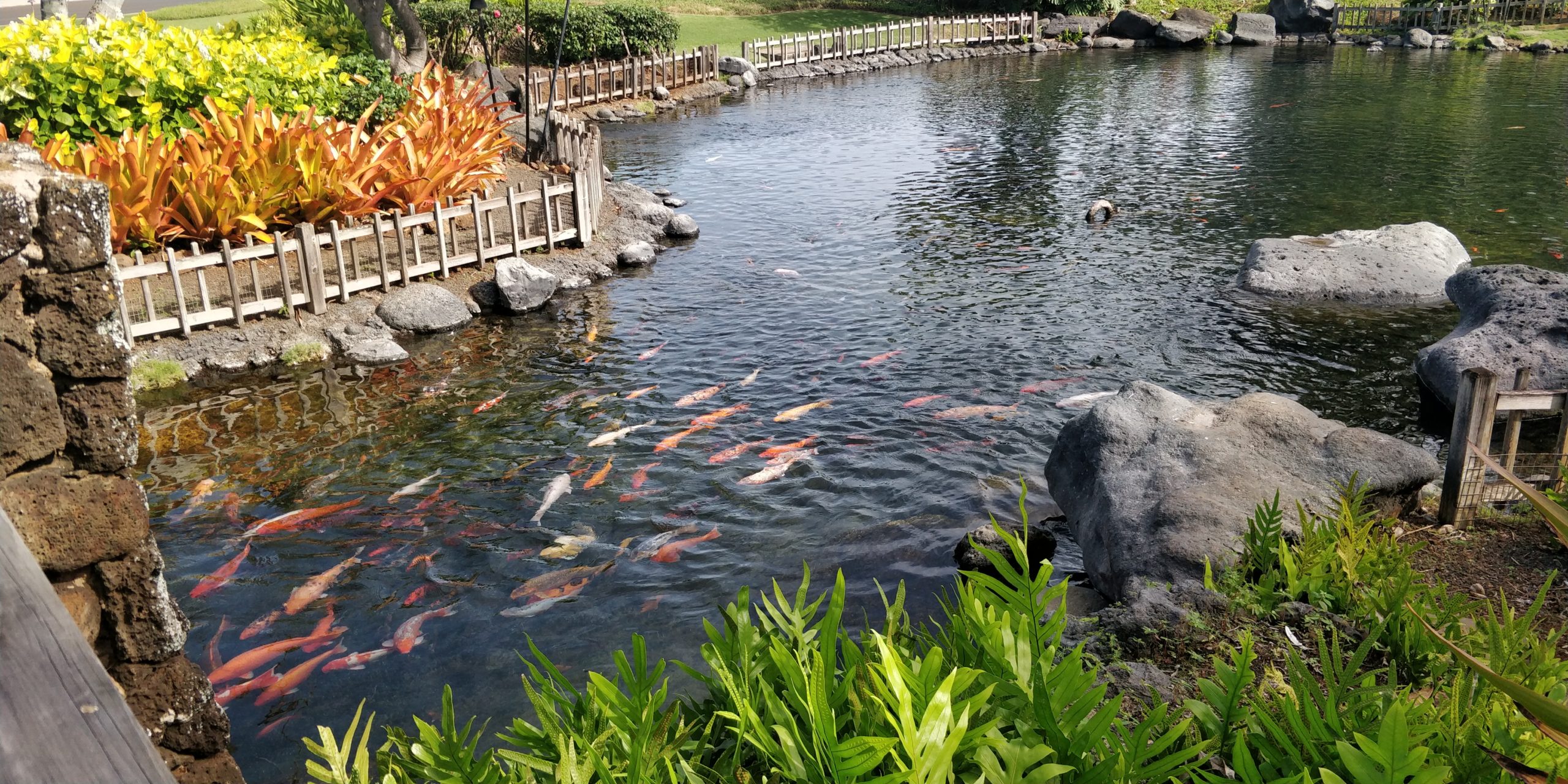 A PICTURE OF THE POND AT THE ENTRANCE TO THE HOTEL