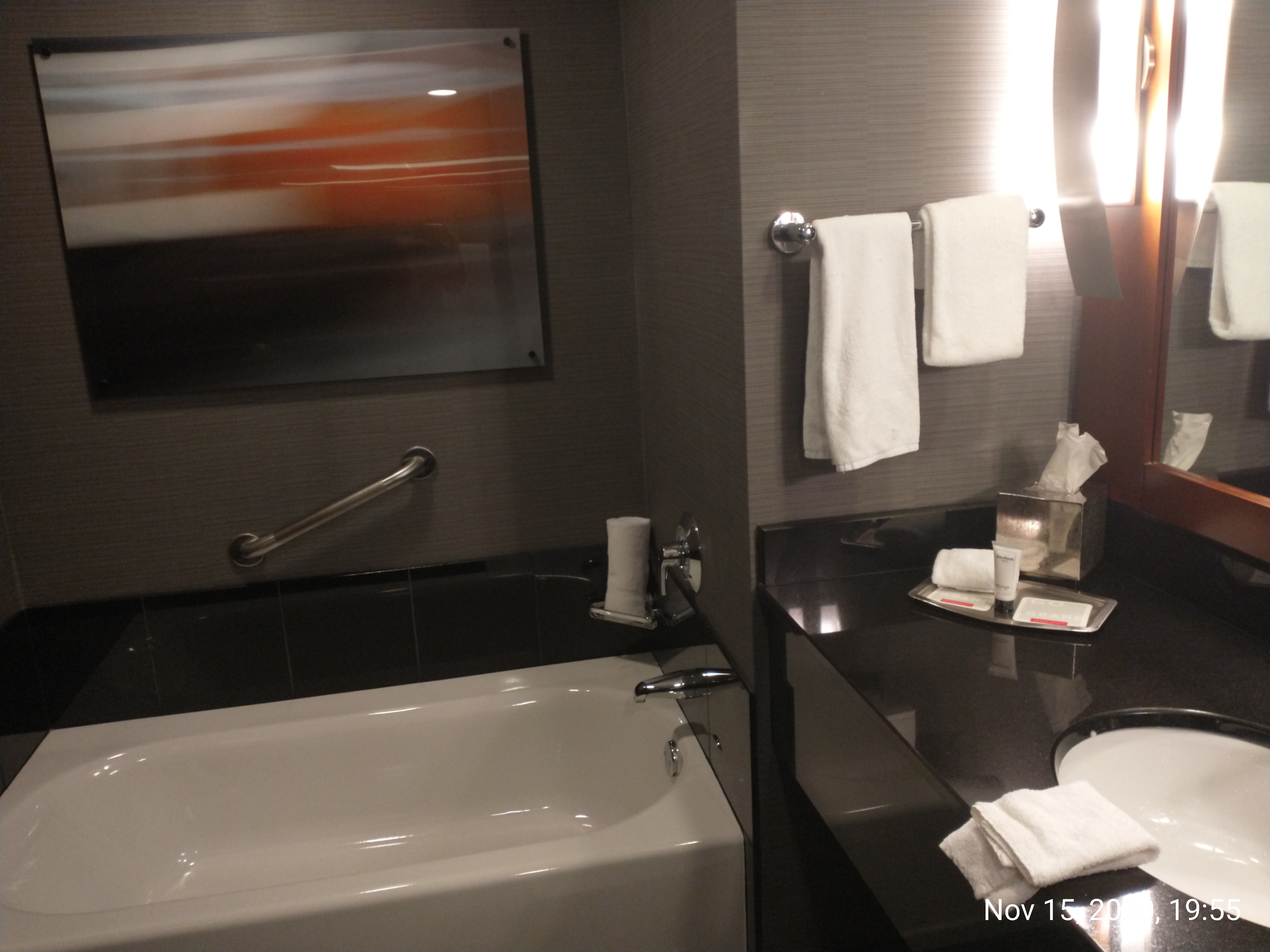 Picture of the bathroom in my suite