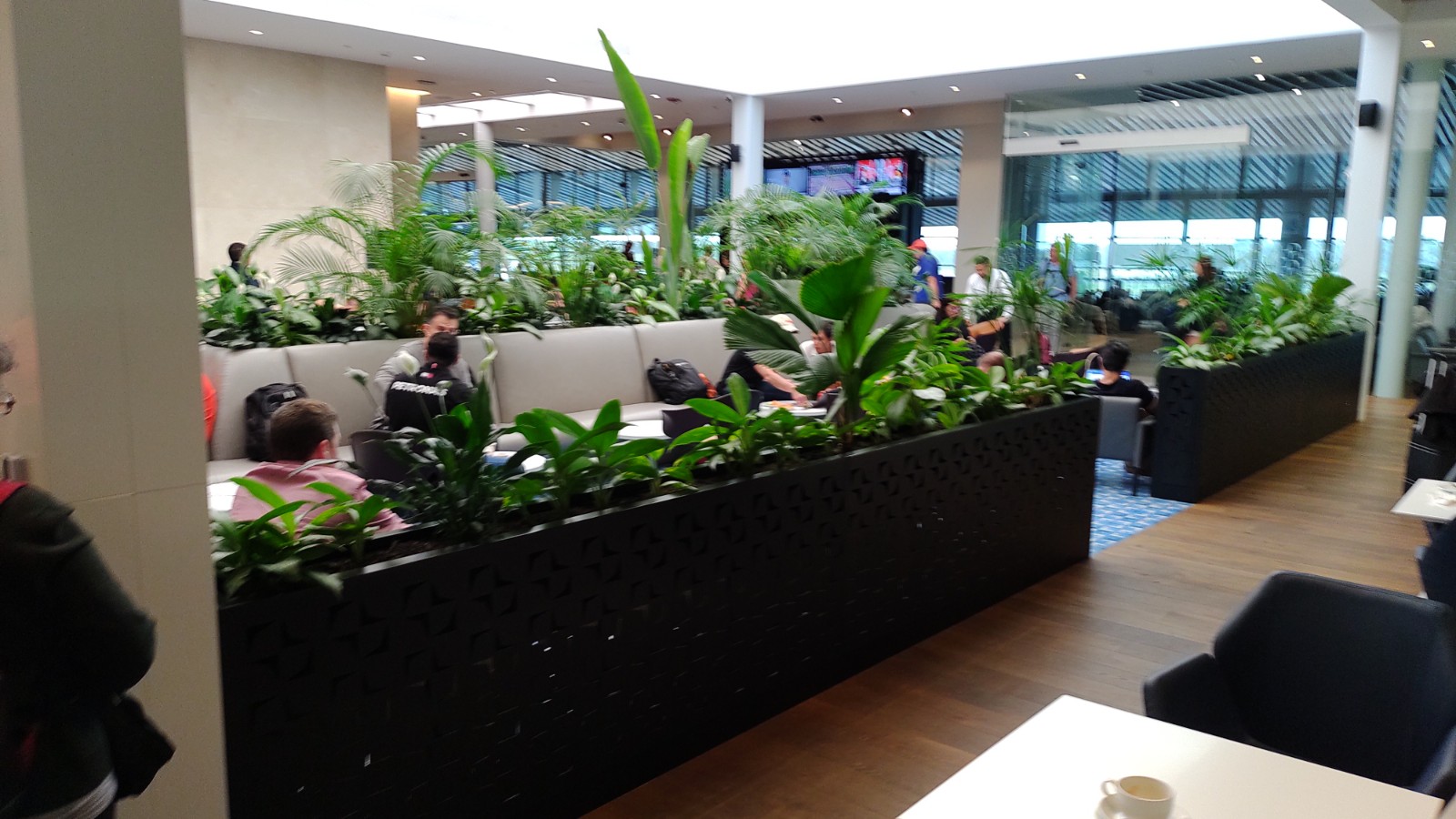 picture of the plants around the seating area.