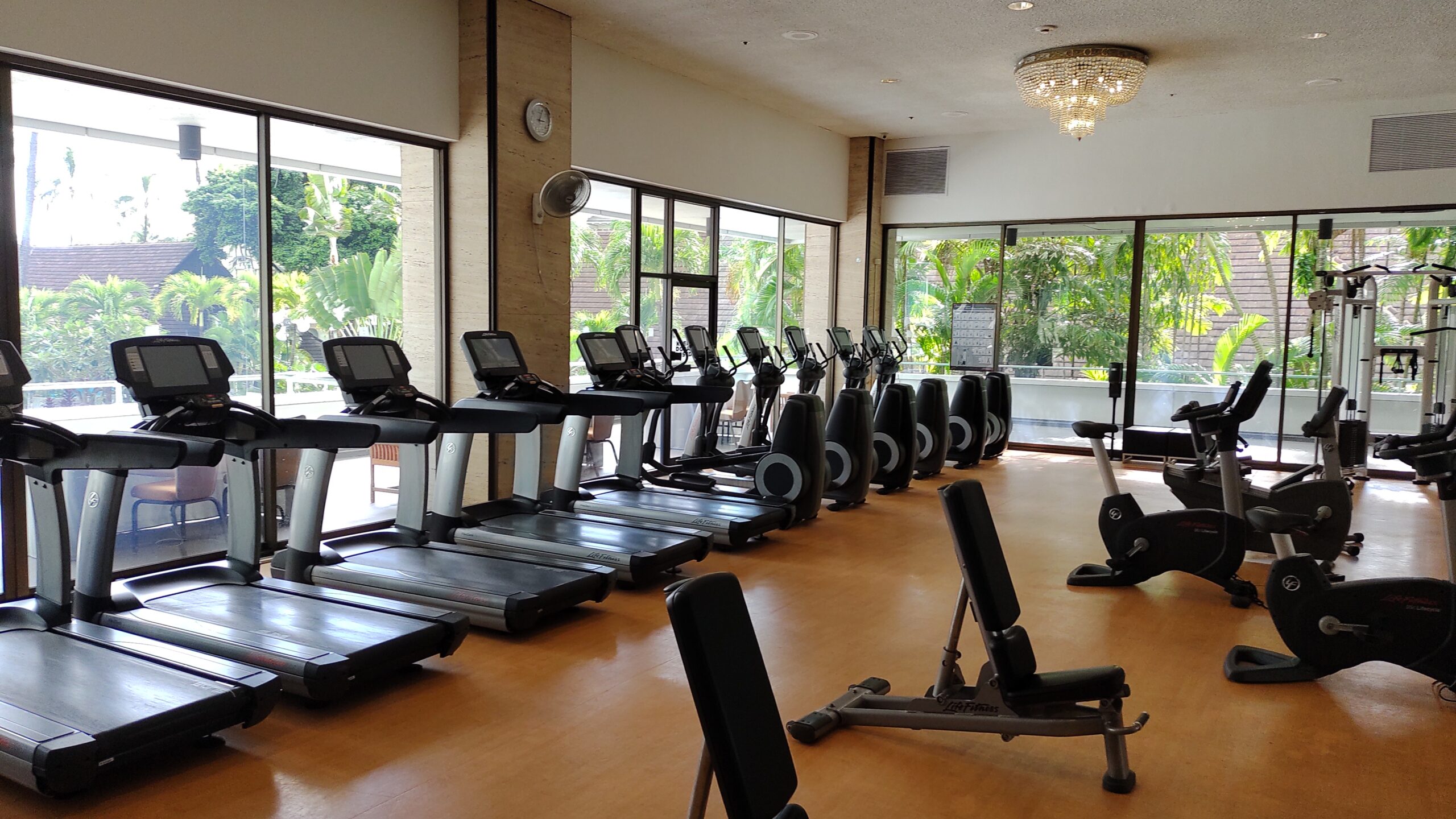 picture of the main section in the gym showing the treadmills and other equipment.