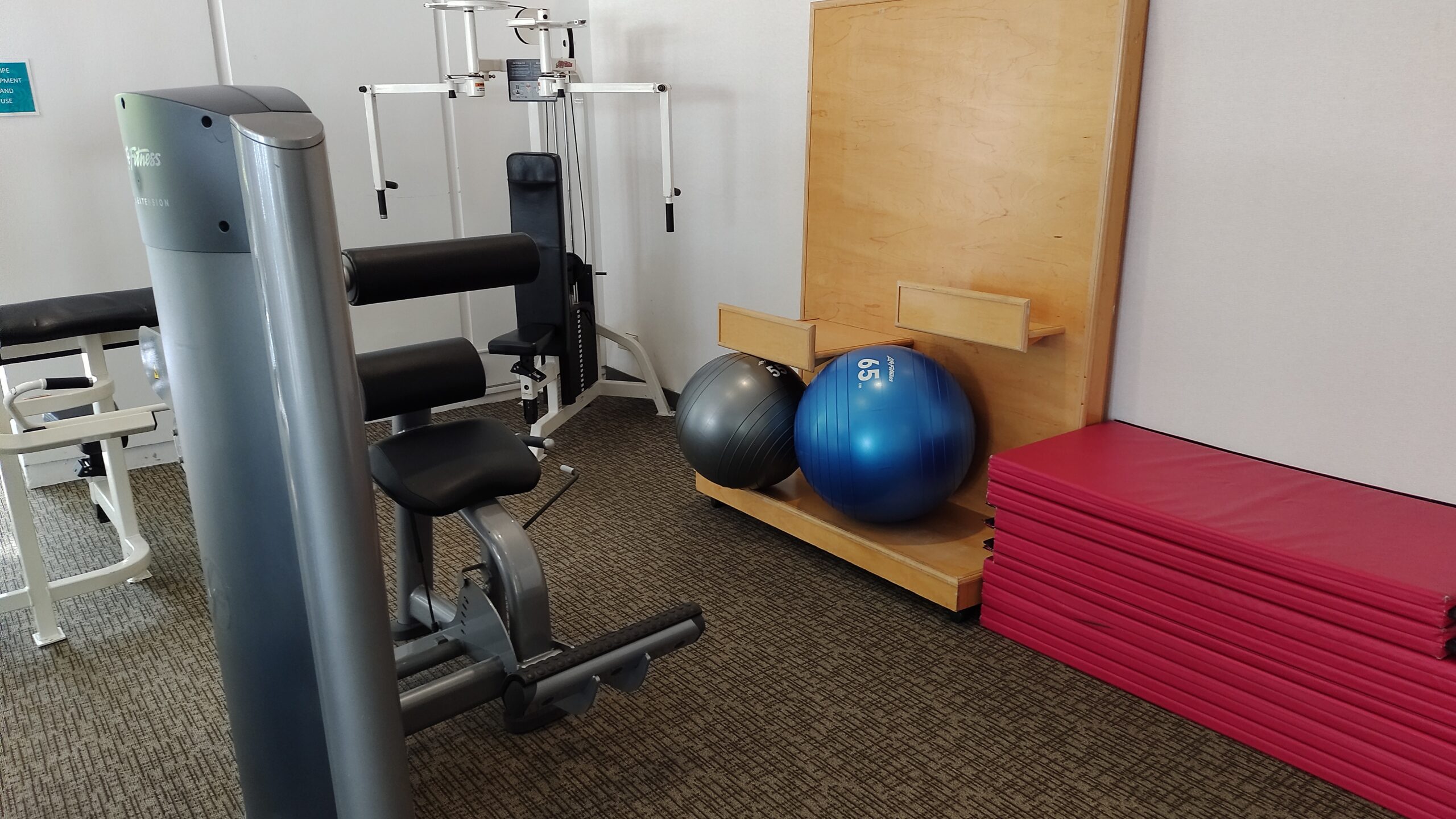 picture of the floor exercise area and mats at the back of the gym.