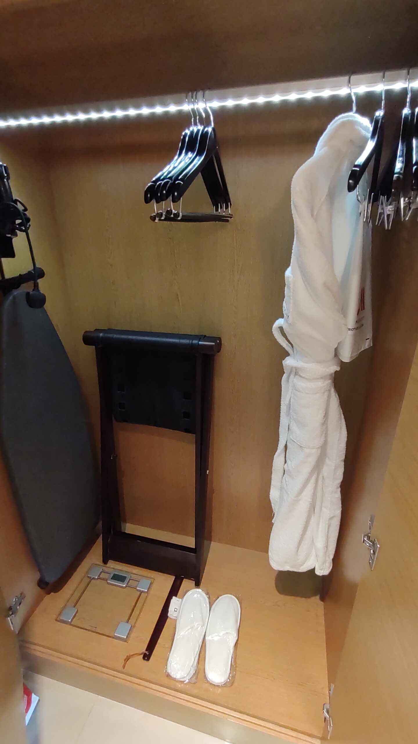 PICTURE OF THE CLOSET IN THE SUITE WITH ALL THE AMENITIES SUCH AS ROBE AND SHOE HORN .