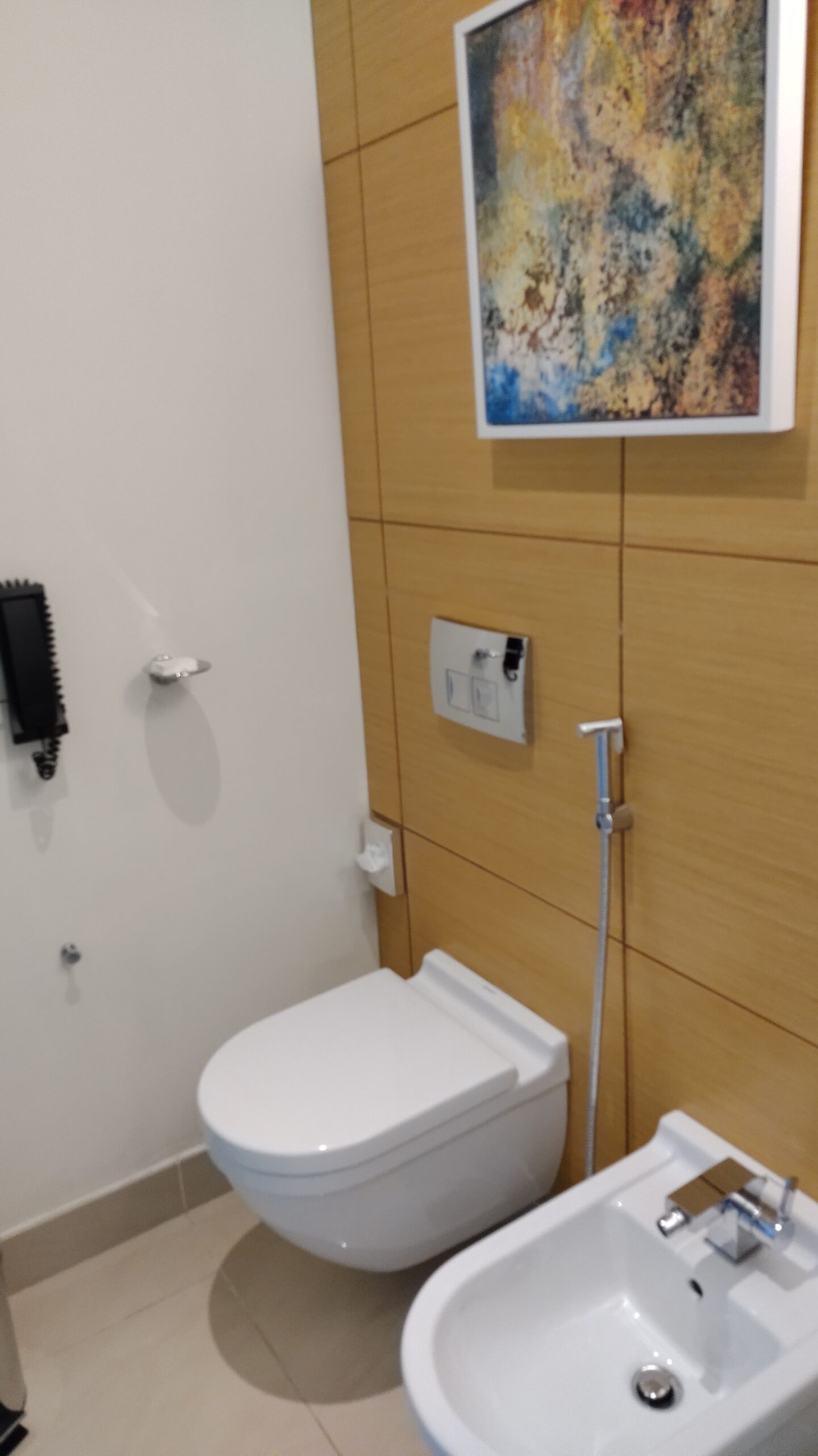 PICTURE OF THE TOILET AREA.