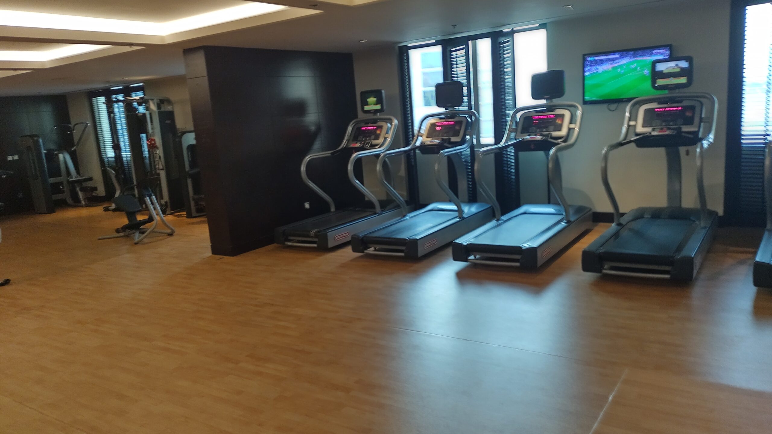 PICTURE OF THE TREADMILLS.