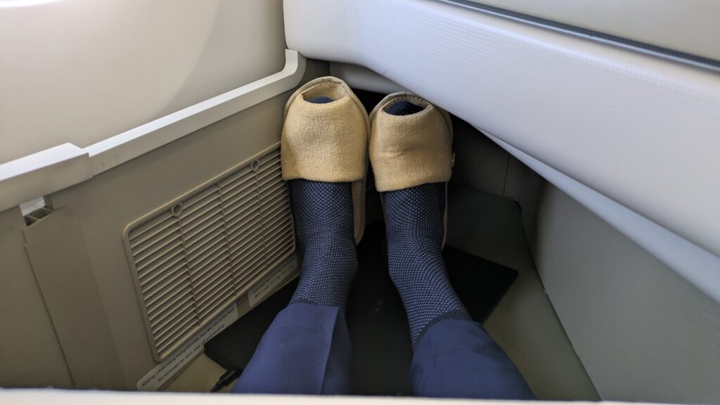 PICTURE OF THE LEGROOM AT MY SEAT.