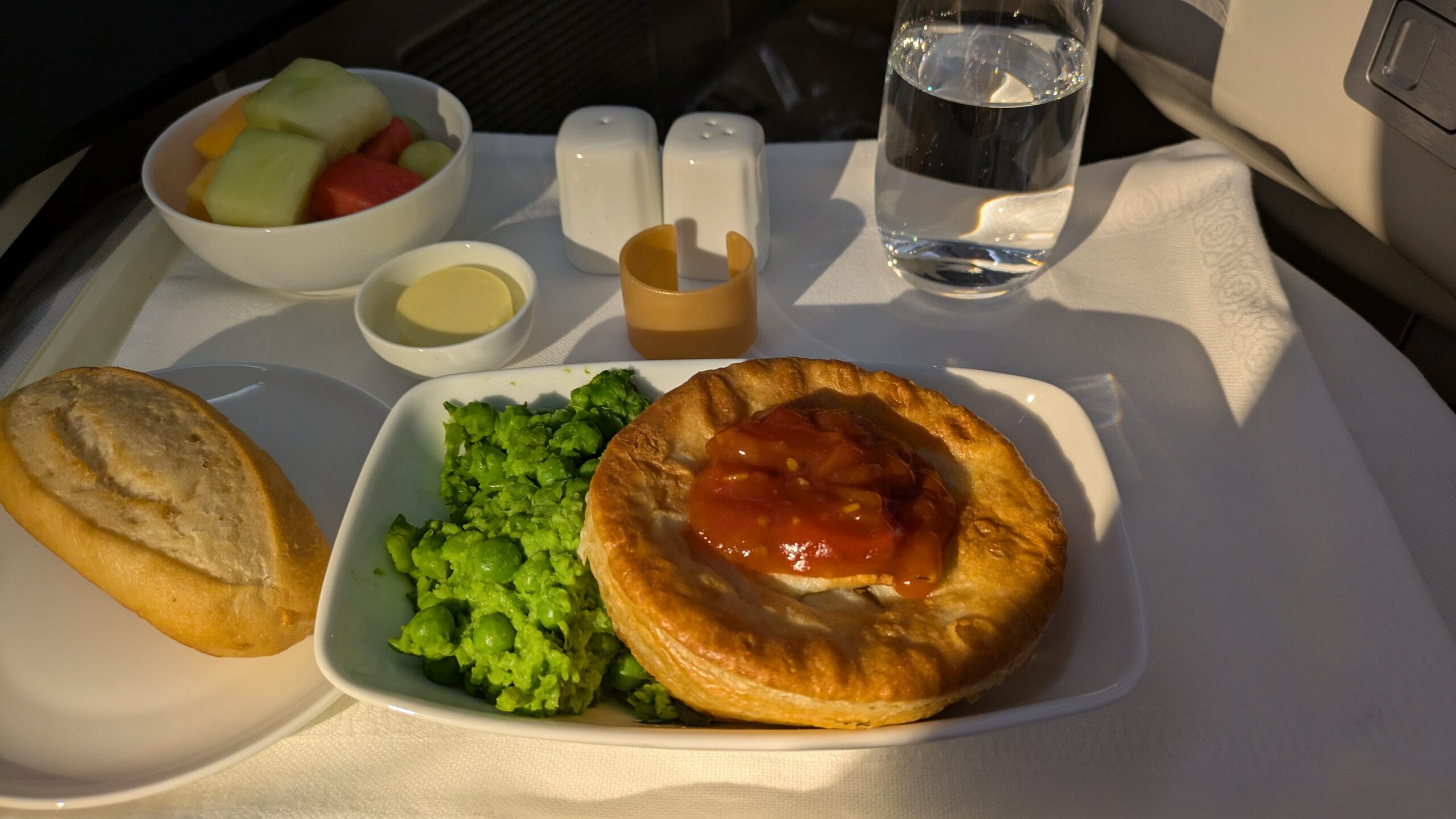 PICTURE OF MY DINNER ON THE SEAT TRAY.