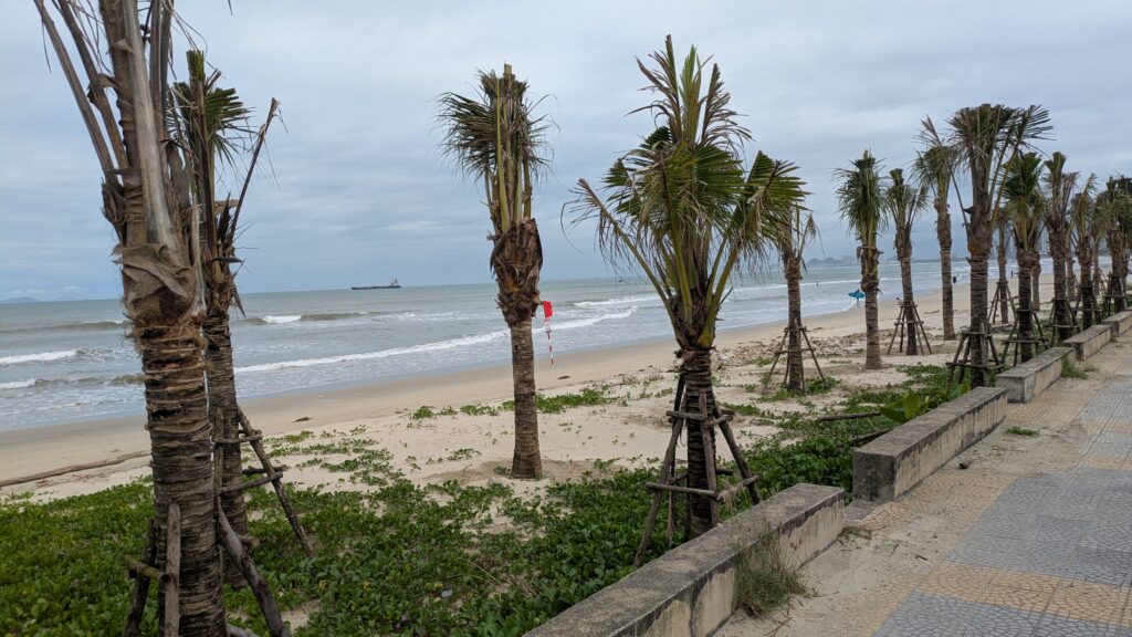 PICTURE OF THE SIDEWALK ALONG THE SEASHORE OF DA NANG BEACH.