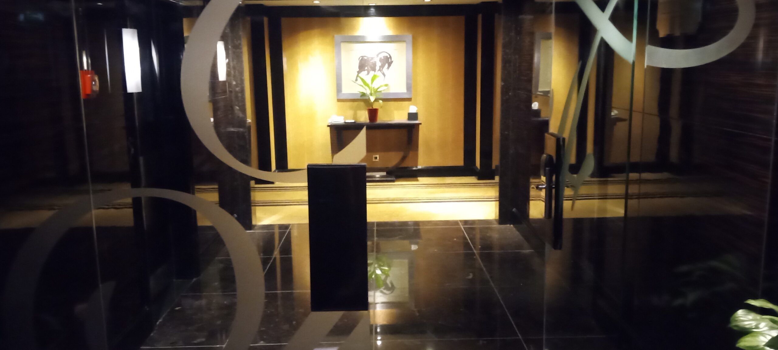 PICTURE OF EXITING THE ELEVATORS AND COMING UP TO THE ENTRANCE OF THE HALLWAY FOR THE ROOMS.