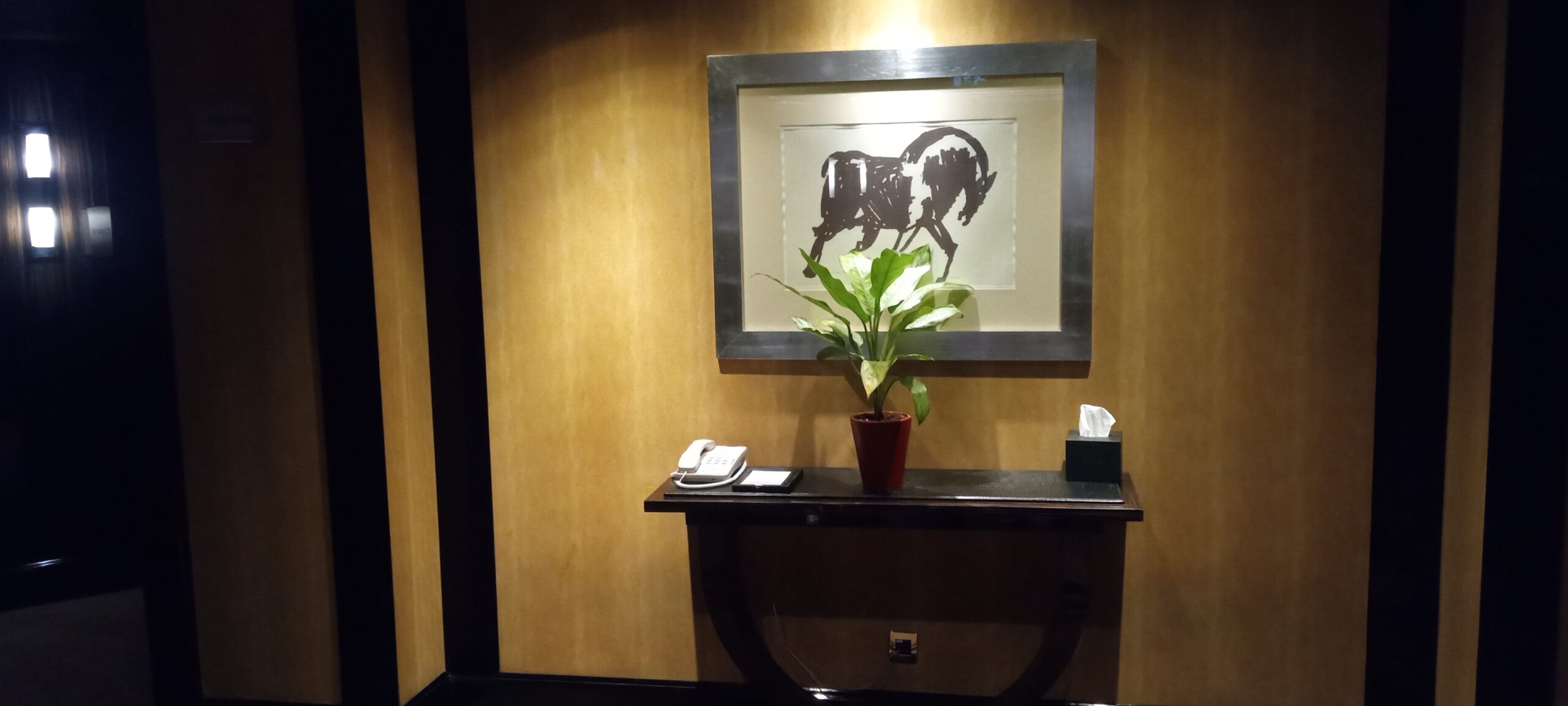 PICTURE OF ENTERING THE HALLWAY AND THE ARTWORK AND DESKS.