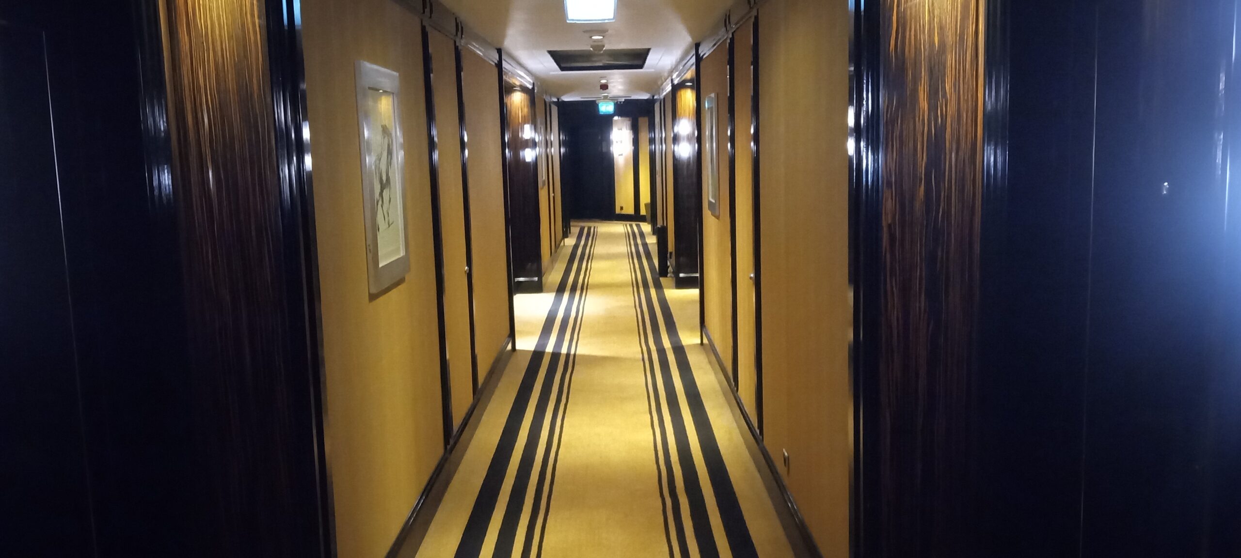 PICTURE OF THE HALLWAY LEADING TO THE ROOMS ON THAT FLOOR.