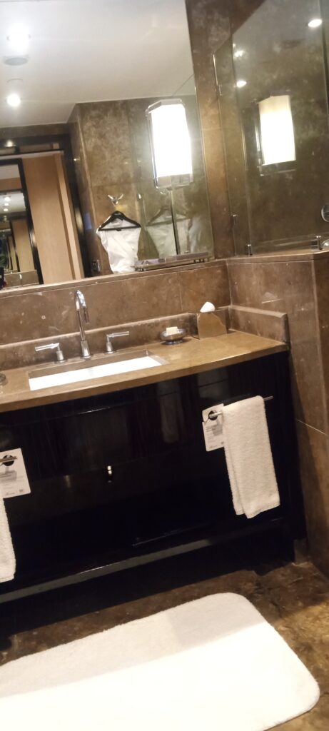 PICTURE OF THE BATHROOM AREA.