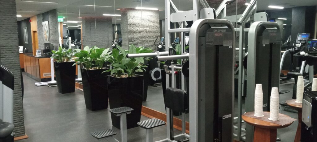 PICTURE OF ENTRANCE TO THE GYM.